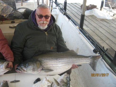 Nice Striped Bass
